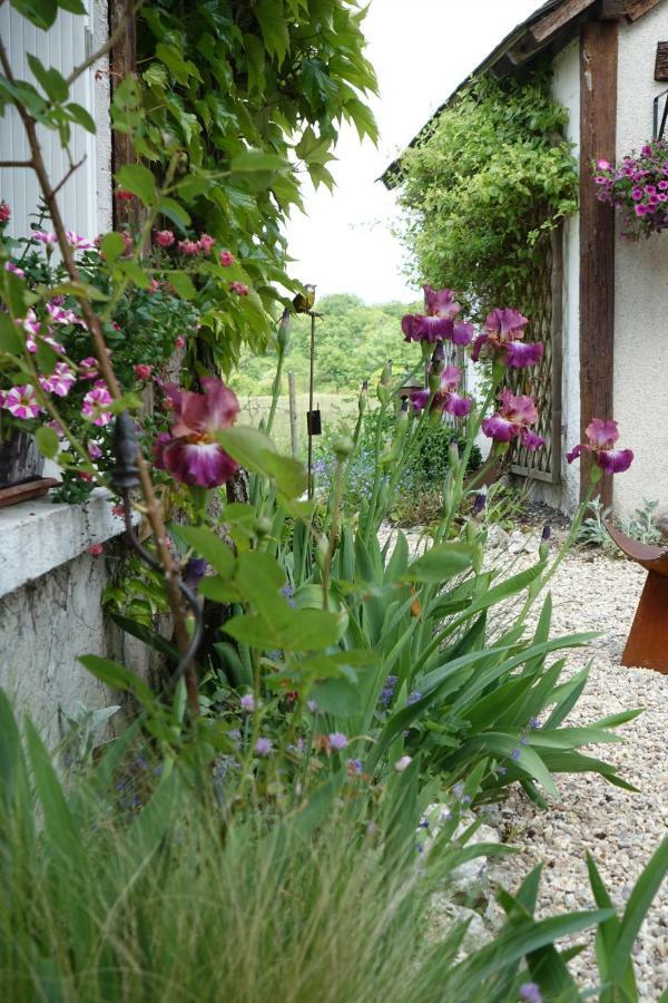 Le Montillon Tour-en-Sologne Экстерьер фото